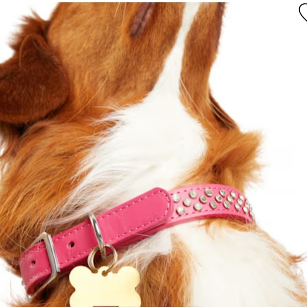 YOULY THE DIVA Leather BLING COLLAR SMALL NEW NIP PINK